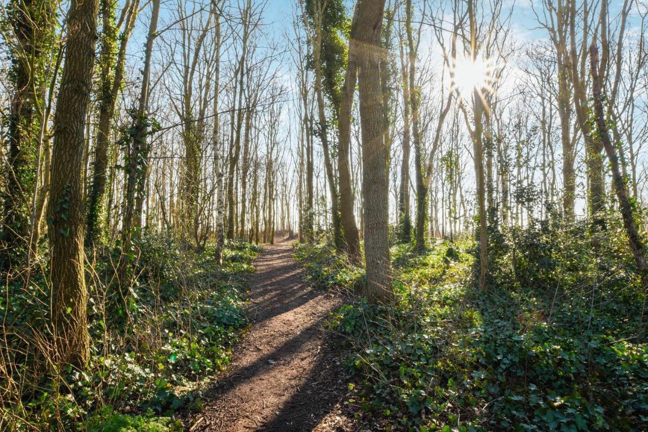Sunnybeachhouse Aan Het Bos, Tussen Zee En Meer. Noordwijkerhout Eksteriør bilde
